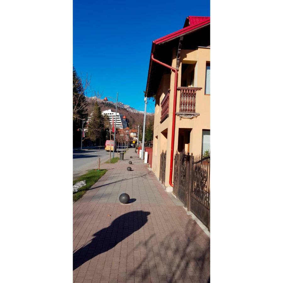 Vaso Apartament Sinaia Bagian luar foto