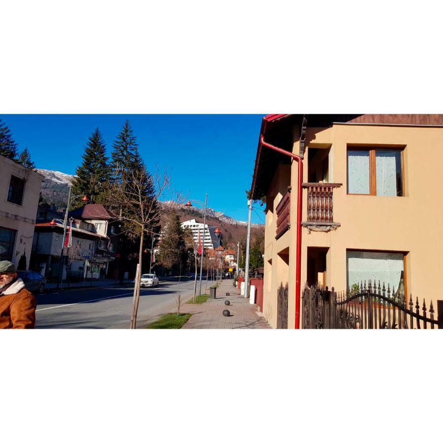 Vaso Apartament Sinaia Bagian luar foto