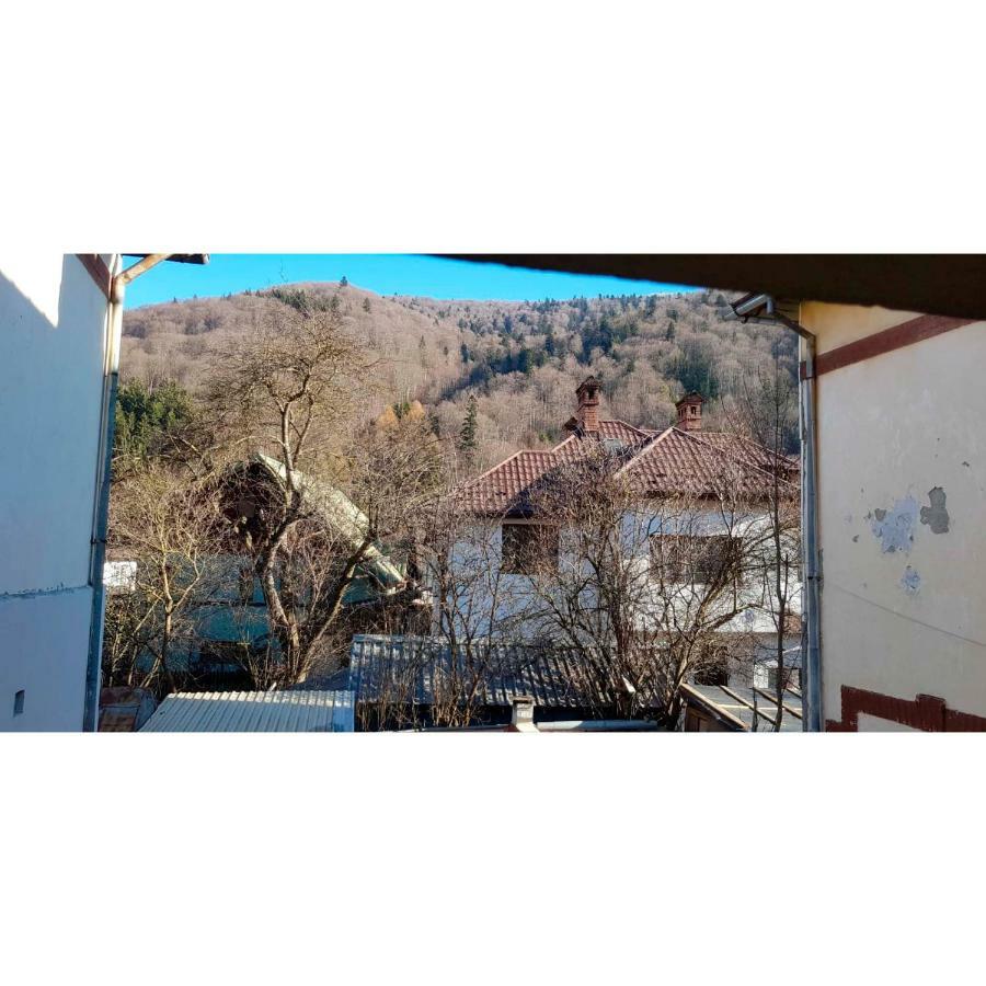Vaso Apartament Sinaia Bagian luar foto