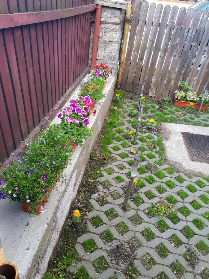 Vaso Apartament Sinaia Bagian luar foto